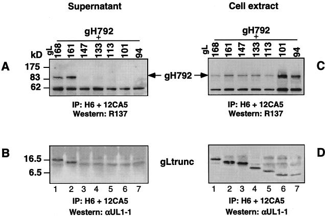 FIG. 10