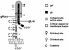 FIG. 12