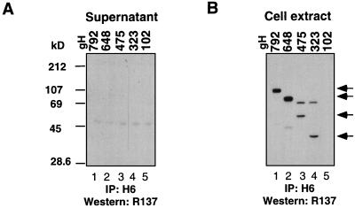 FIG. 8