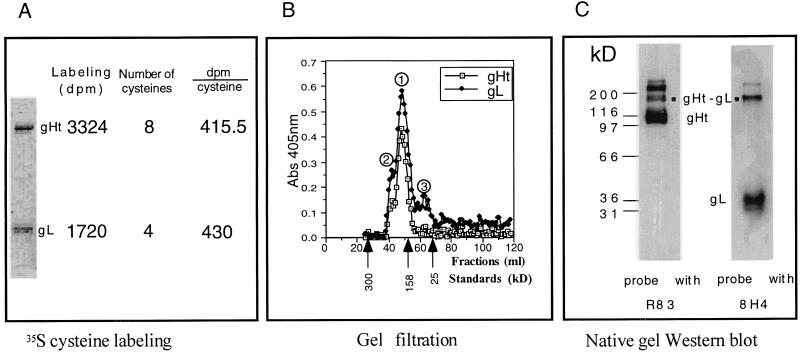 FIG. 1