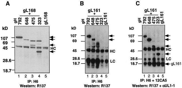 FIG. 11