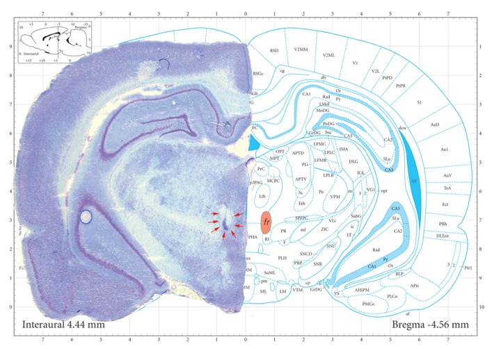 FIGURE 2