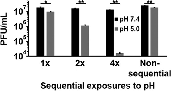 FIG 4