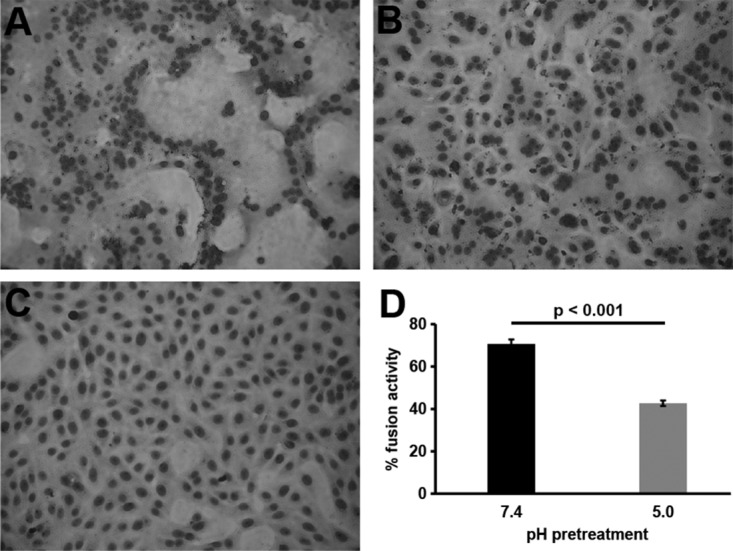 FIG 3