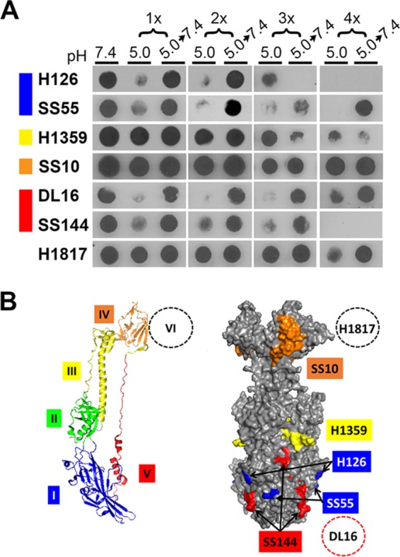 FIG 6