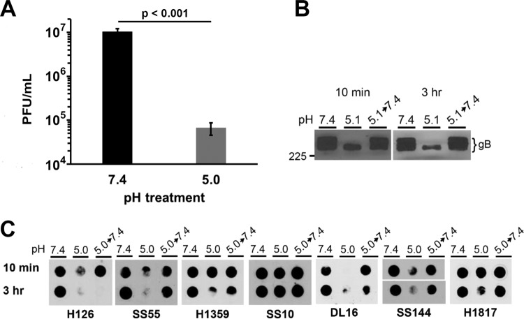 FIG 7