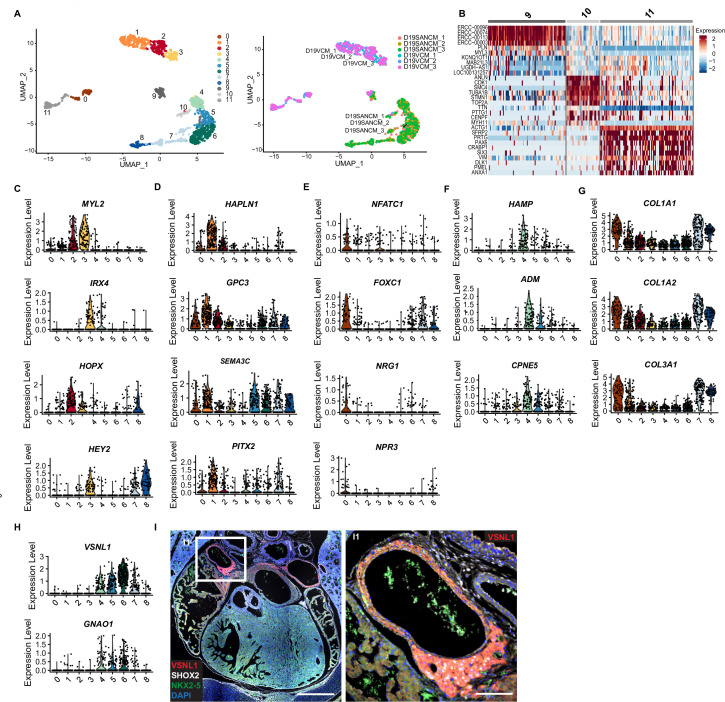 Figure 3—figure supplement 1.