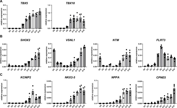 Figure 4—figure supplement 2.