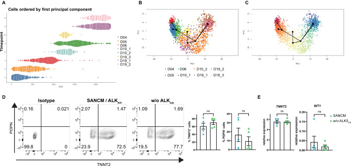 Figure 5—figure supplement 1.