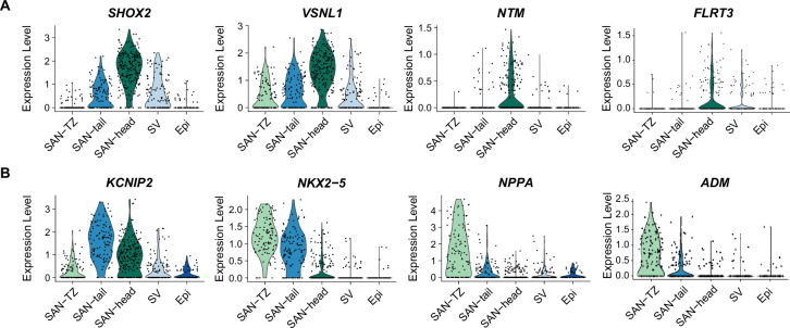 Figure 3—figure supplement 2.