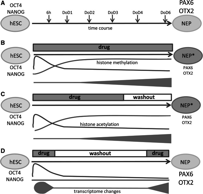 Fig. 7