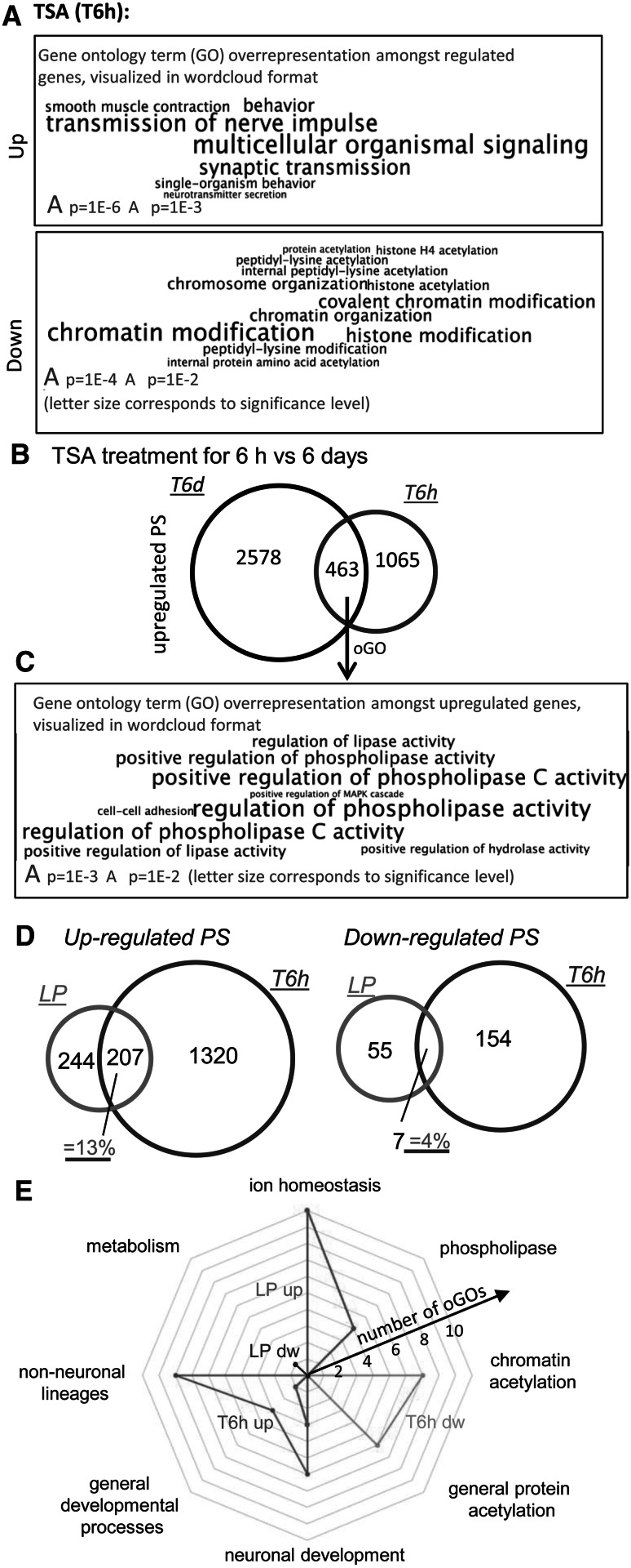 Fig. 6