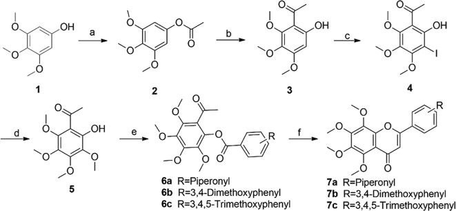 Scheme 1