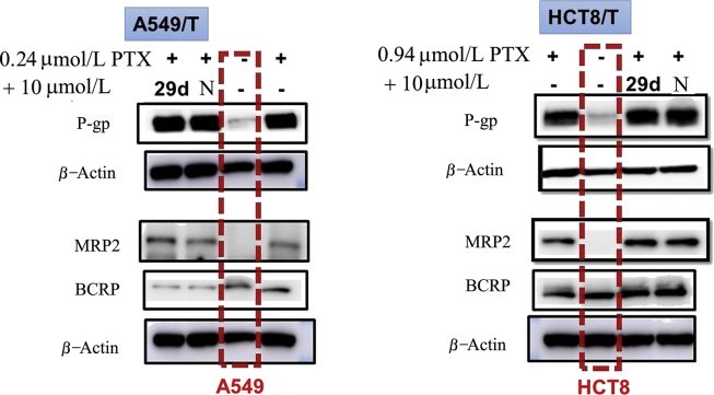 Figure 10