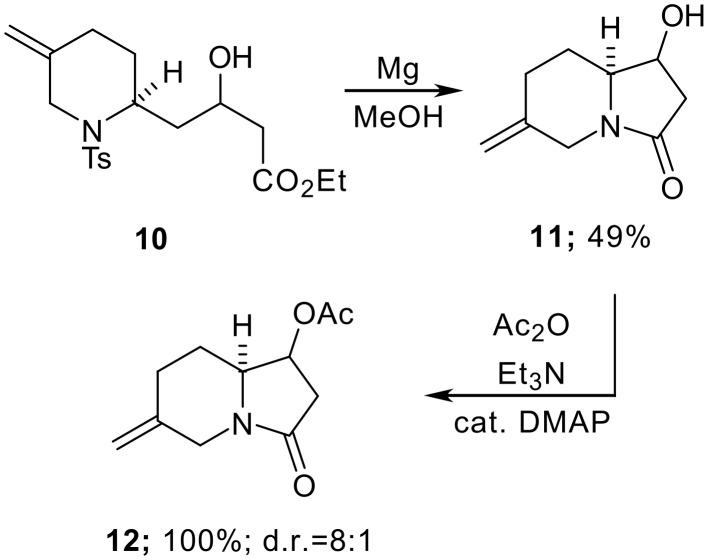 Scheme 4