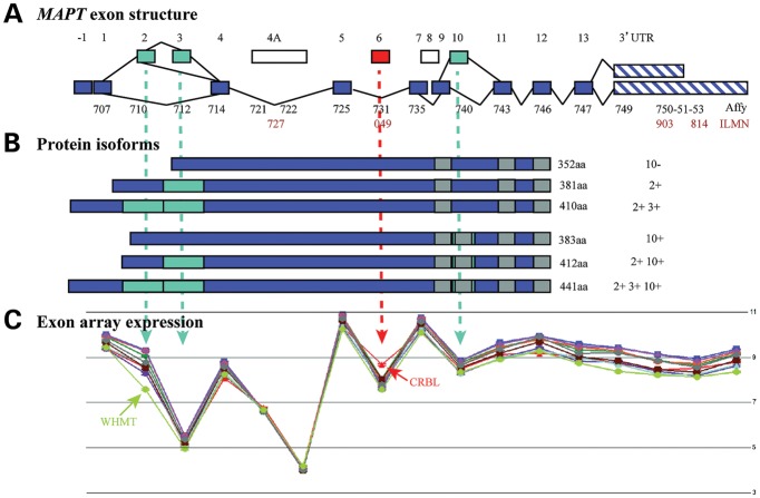 Figure 2.