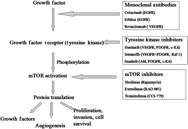 Figure 22