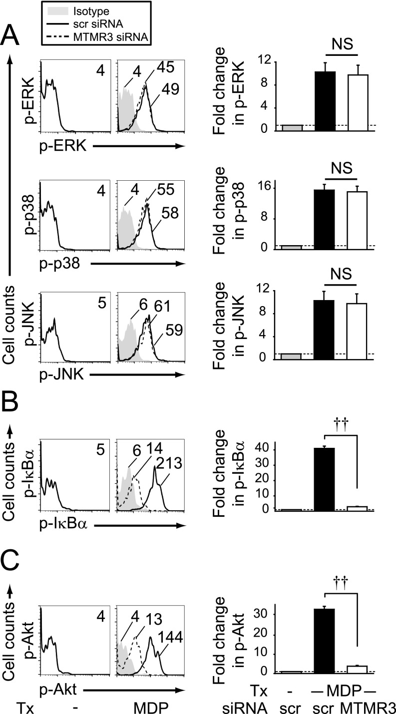 Fig. S4.