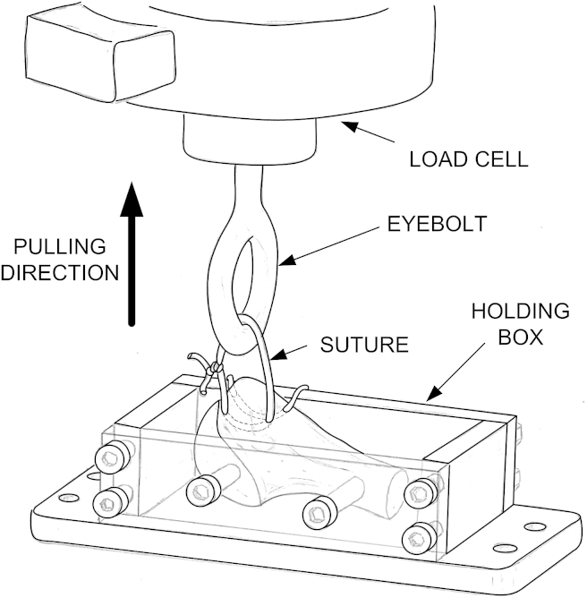 Fig. 1