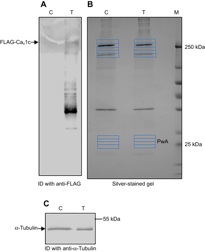 Fig. 9.