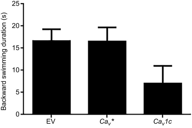 Fig. 5.