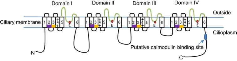 Fig. 1.