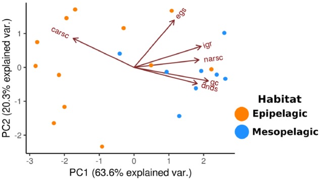 Fig. 4.