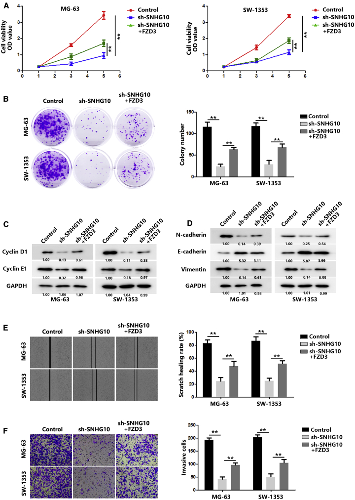 Figure 6