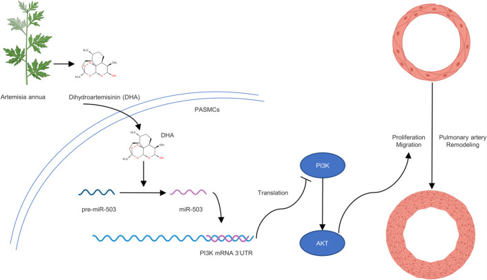 FIGURE 9.