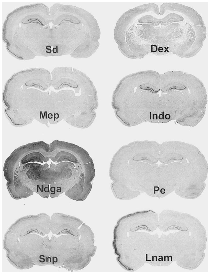 Fig. 10