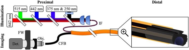 Fig. 1