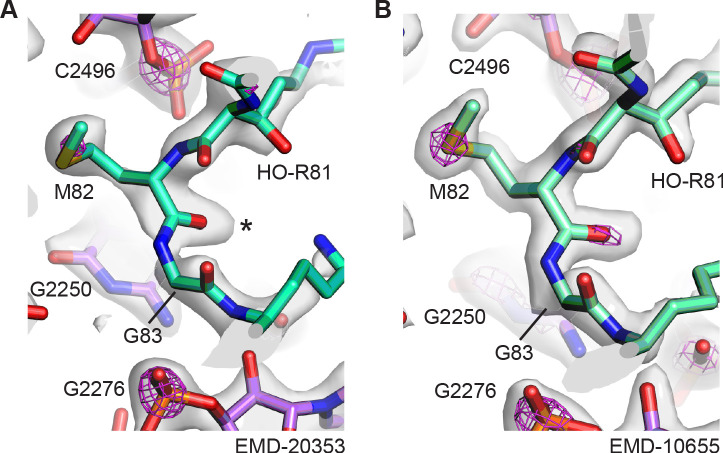 Figure 8—figure supplement 1.