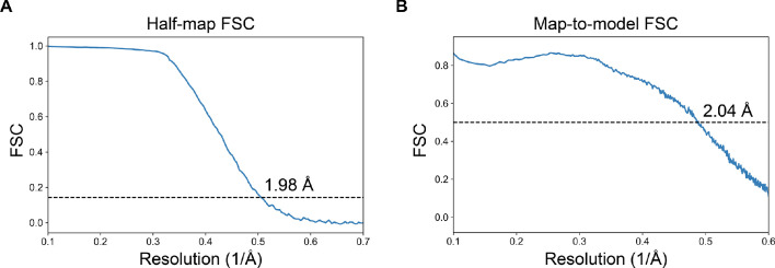 Figure 1—figure supplement 2.