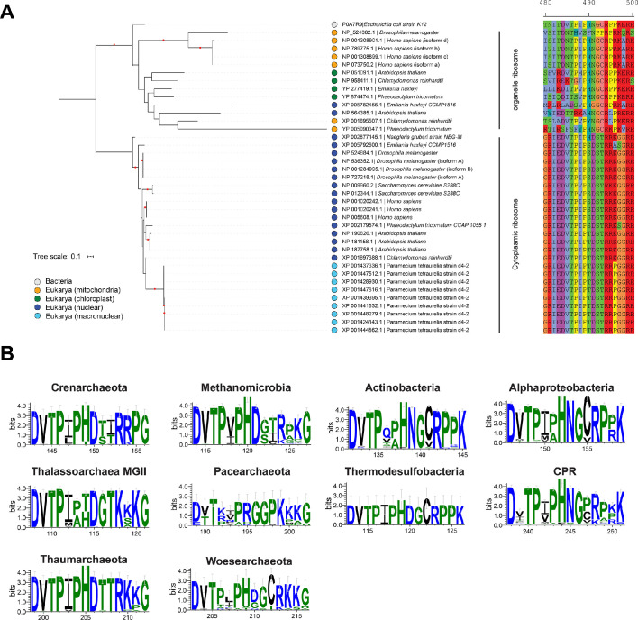 Figure 4—figure supplement 2.