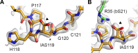 Figure 4—figure supplement 1.