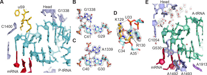 Figure 2.