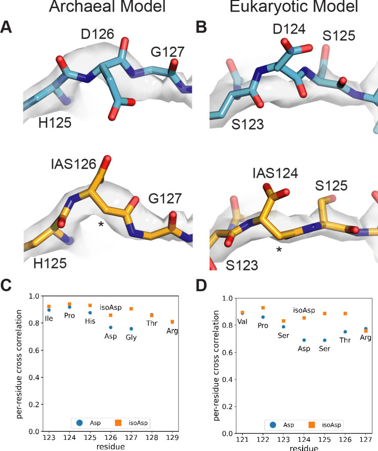 Figure 4—figure supplement 3.