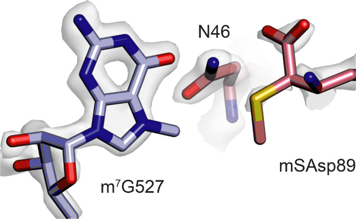 Figure 1—figure supplement 6.