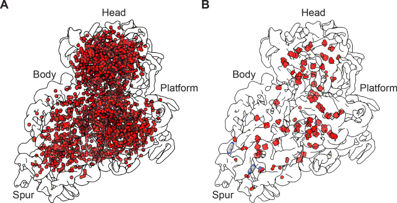 Figure 2—figure supplement 1.