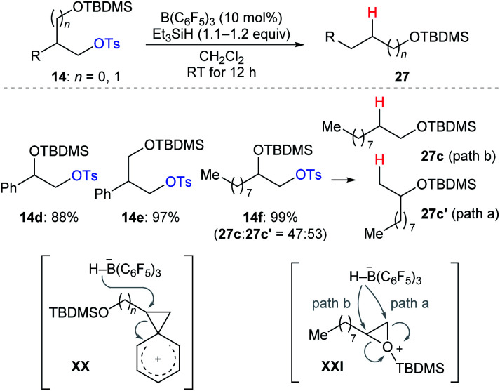 Scheme 25