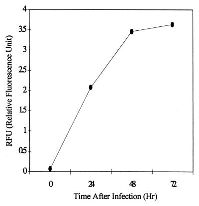 FIG. 4