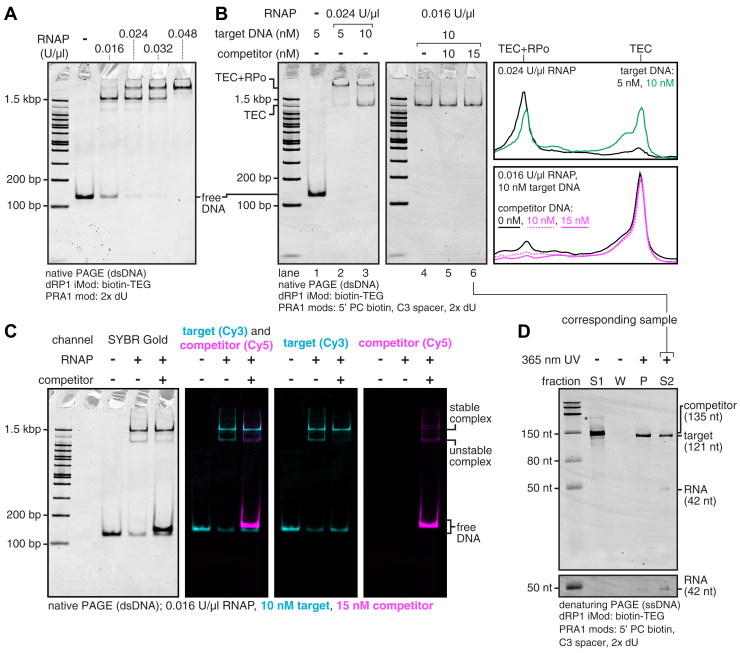 Figure 4