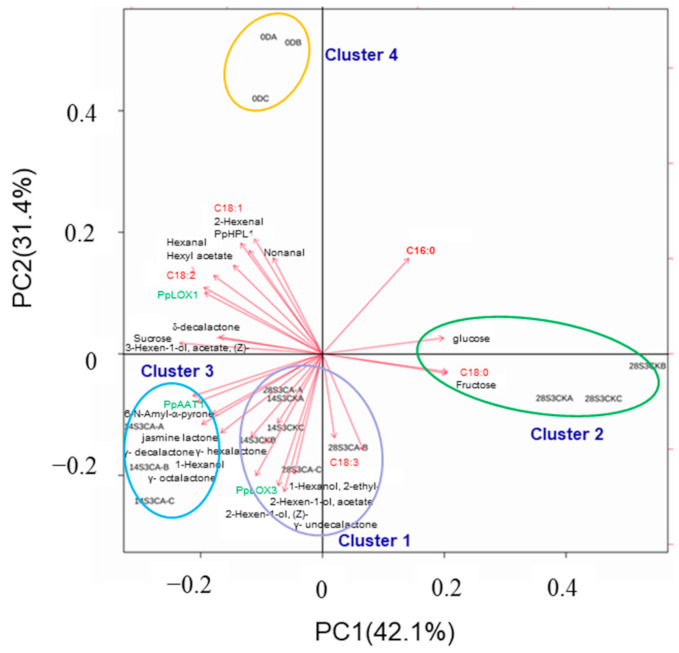 Figure 9