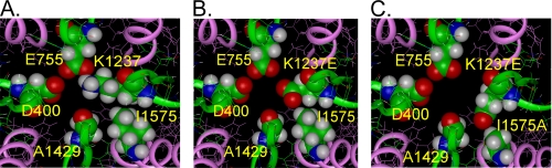 FIGURE 10.