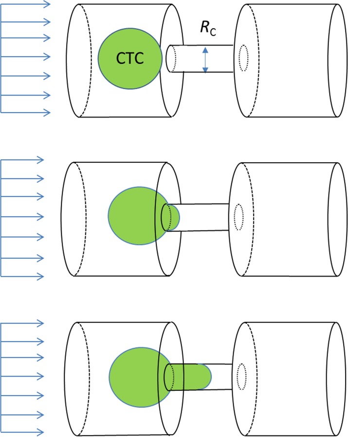 FIG. 1.