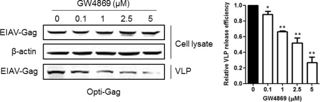 FIG 7