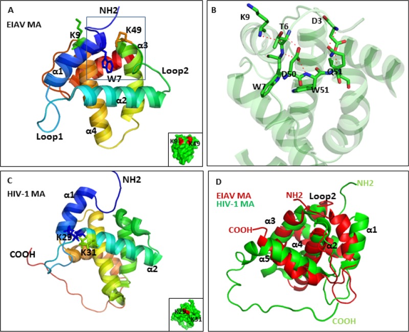 FIG 6