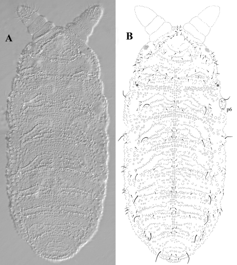 Figure 2.