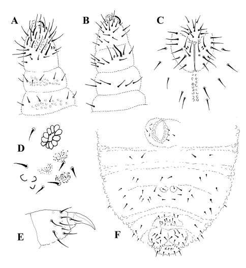 Figure 3.