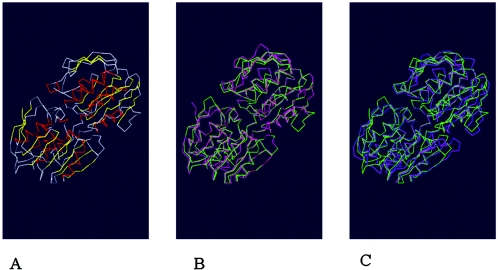 FIG. 2.